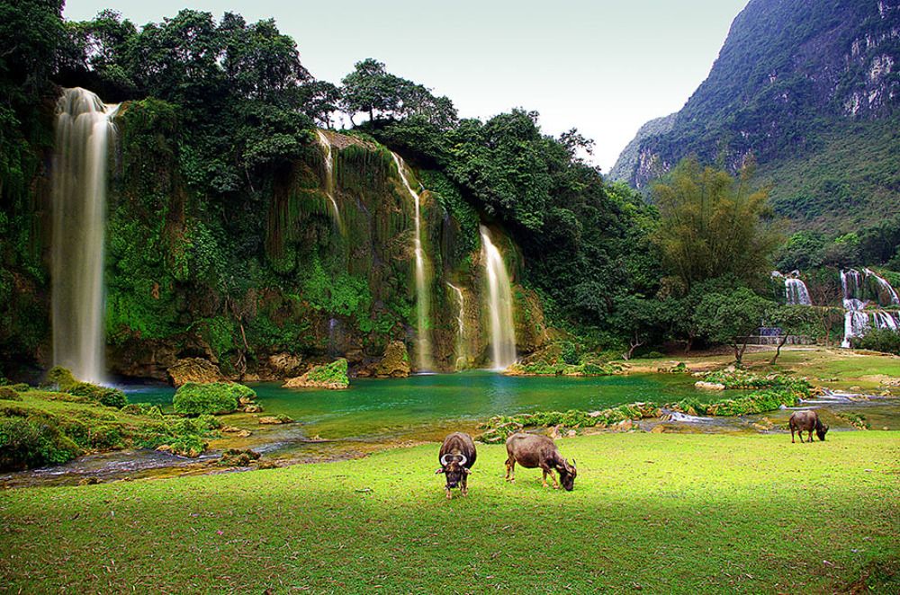 Water fall in Viet Nam