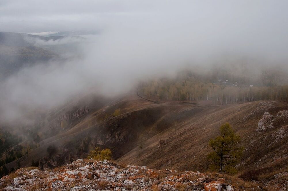Осенние туманы .