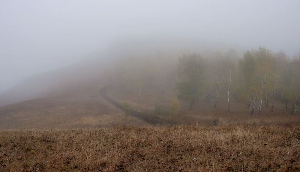 Осенние туманы .