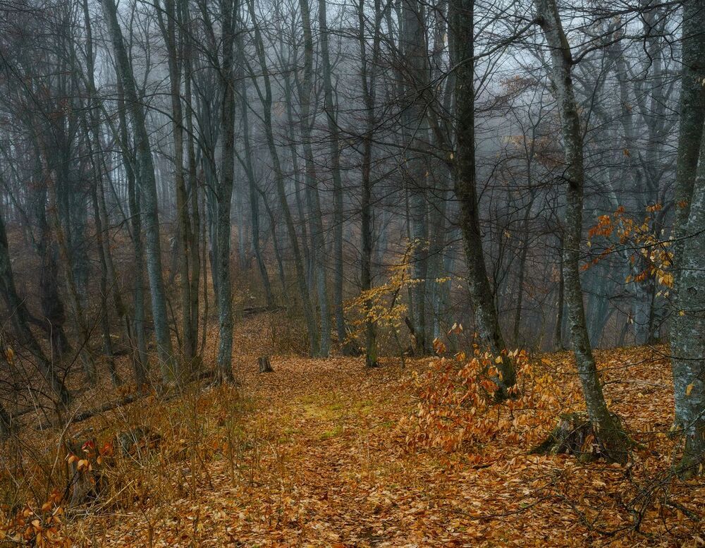Весна как осень