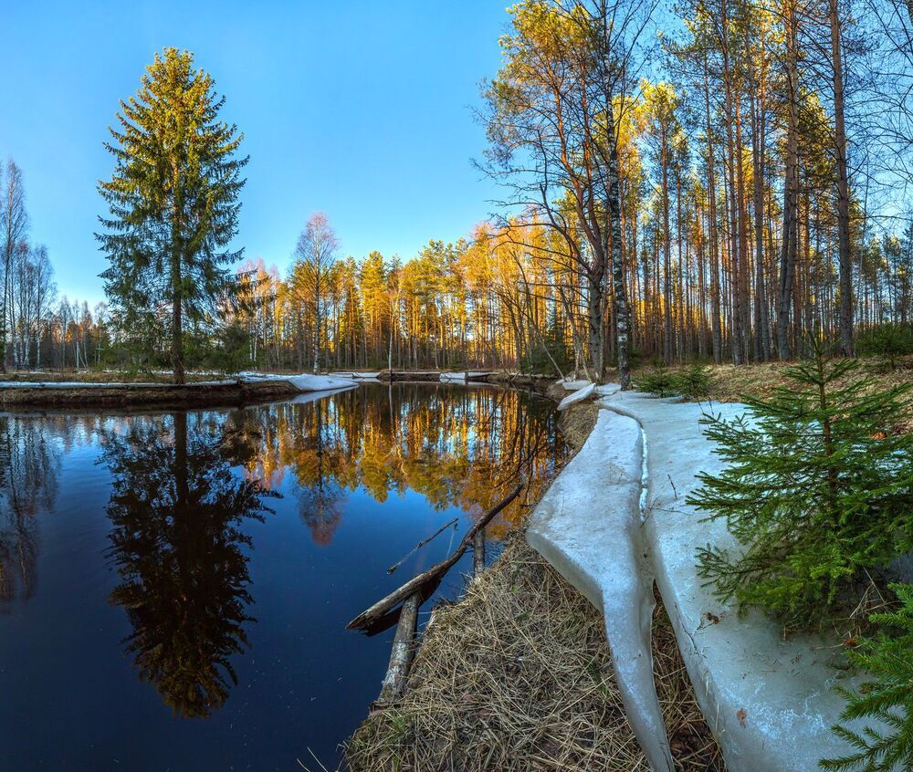 Конец марта, 2014. Река Рощинка.