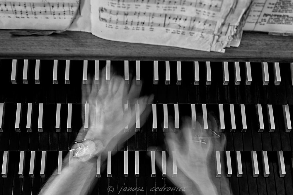 pipe organ 1/5