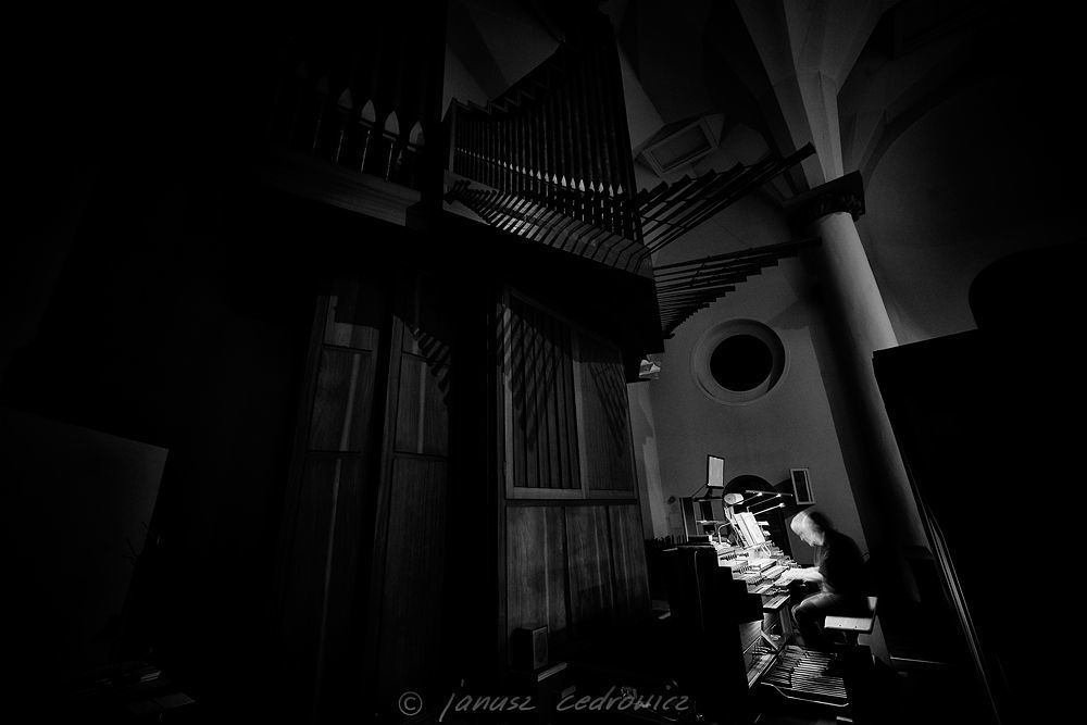 pipe organ 5/5