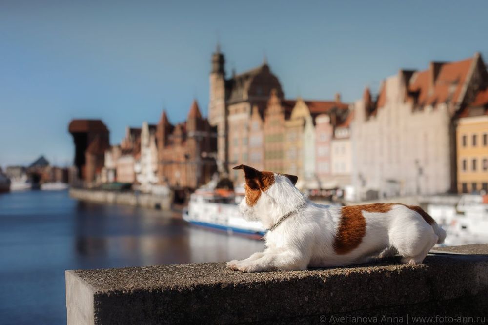 w cudownym mieście Gdańsk