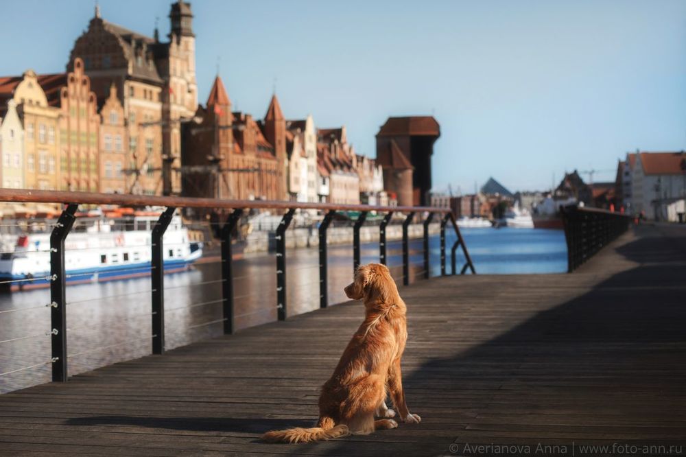 w cudownym mieście Gdańsk
