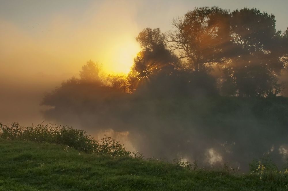 На утренней зорьке