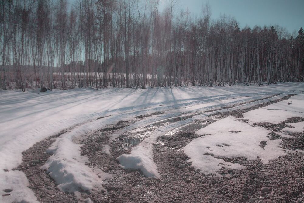 Запах весны