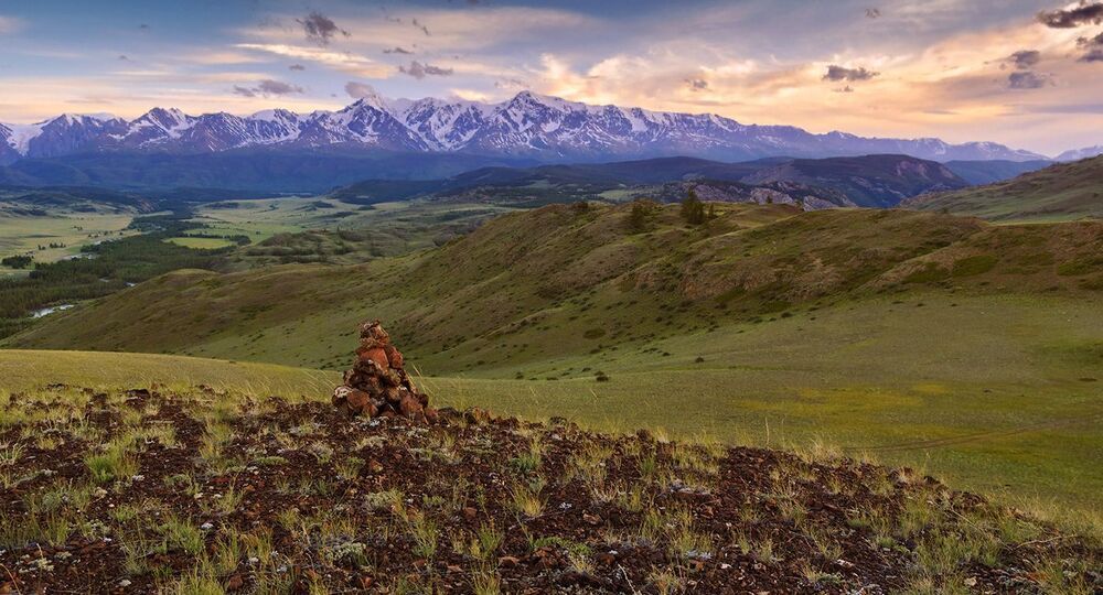 Курай на закате