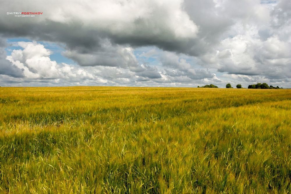 По дороге с облаками среди полей Подмосковья.