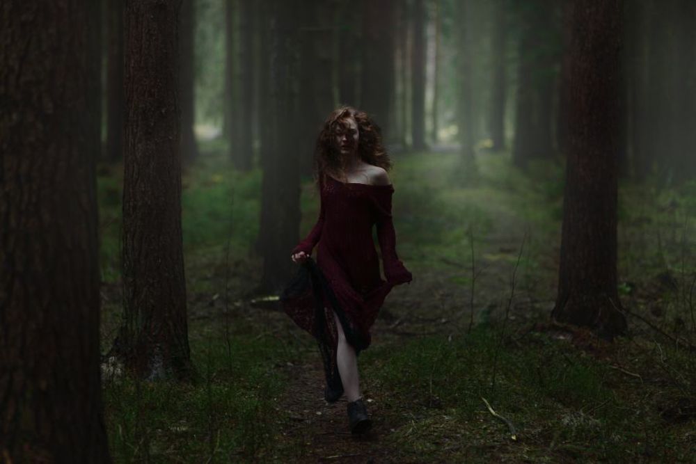 Forest
