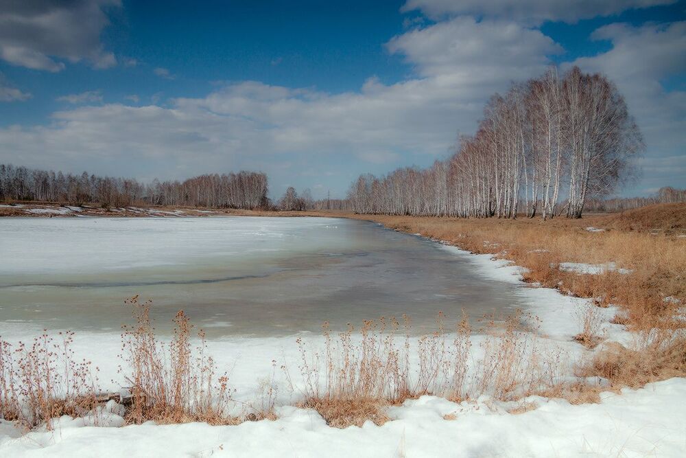 Солнечный апрель