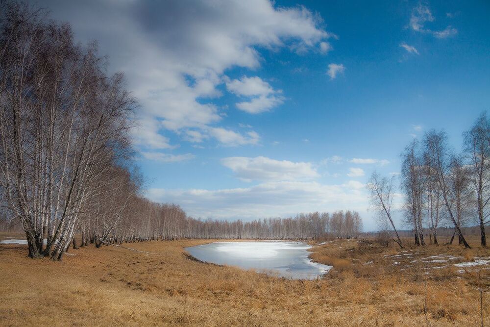 Солнечный апрель