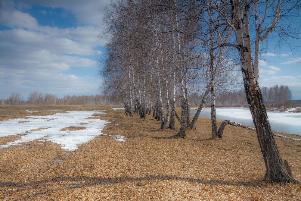 Солнечный апрель