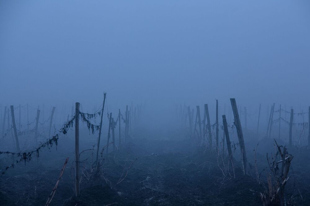 Photo 1088240