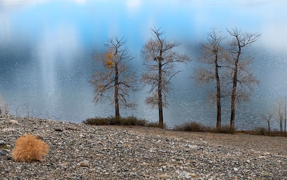 04 &hellip; которые смотрятся особенно эффектно на фоне металлического блеска воды