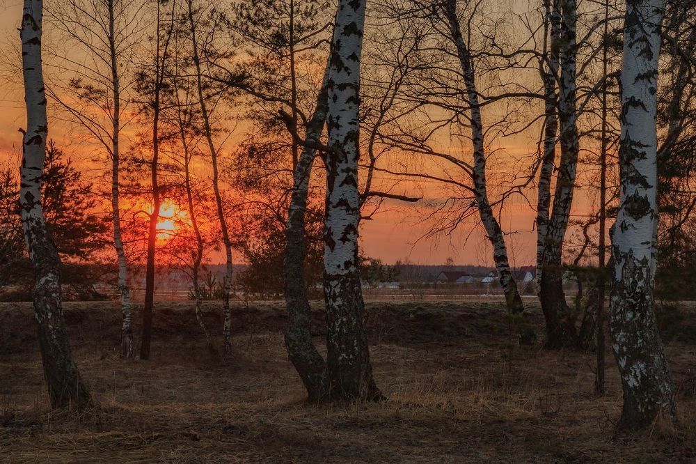 Апрельский вечер