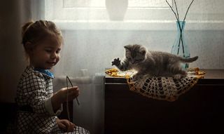 Домашний тигр сломал палочку дрессировщика.