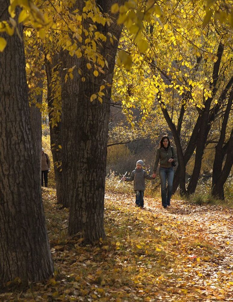 осень в городе