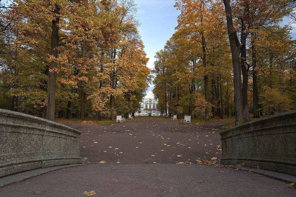 Парки Царского села в сумеречнозакатном свете