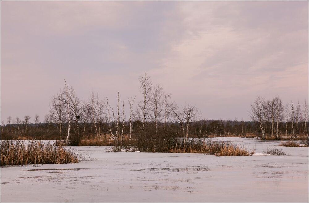 В начале солнечного затмения