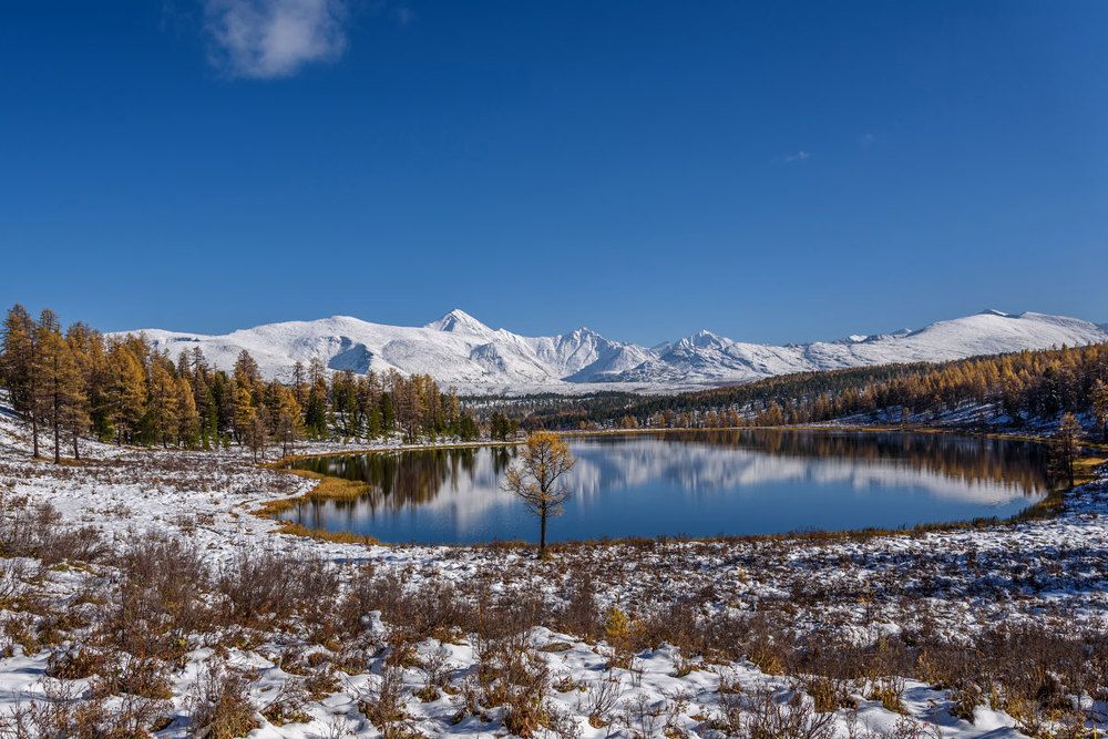 Осеннее Киделю