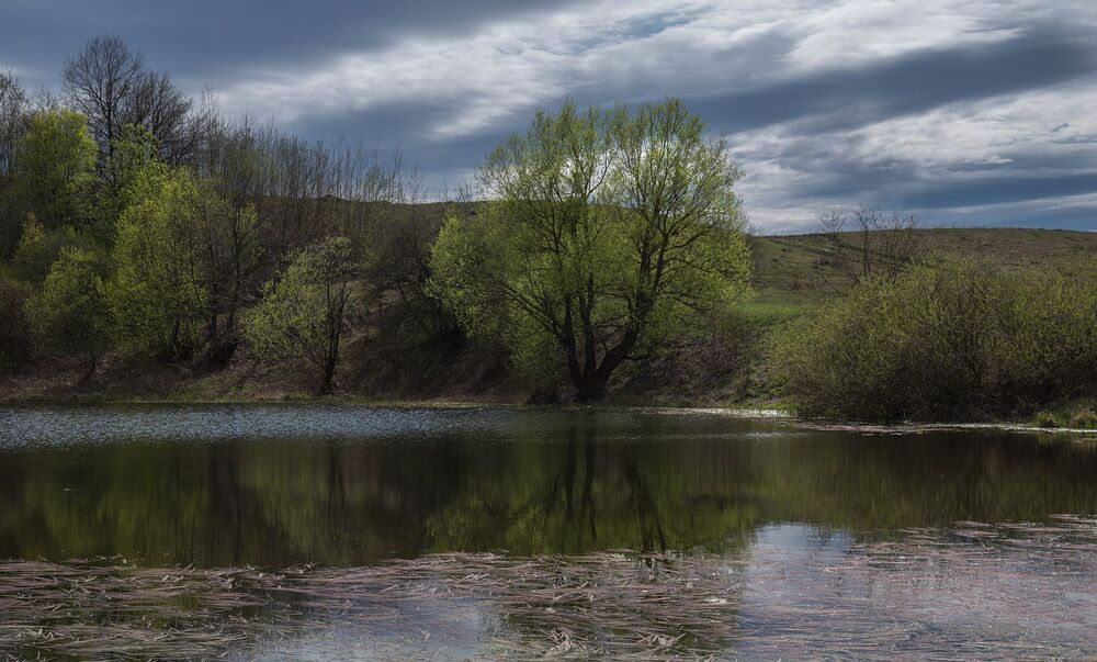 полуденная прогулка