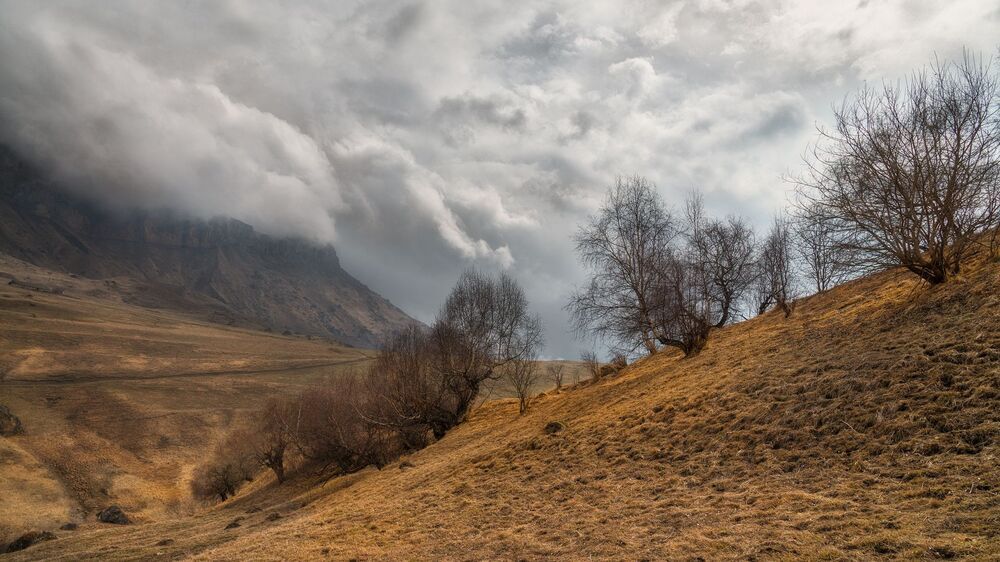 Актопрак_2