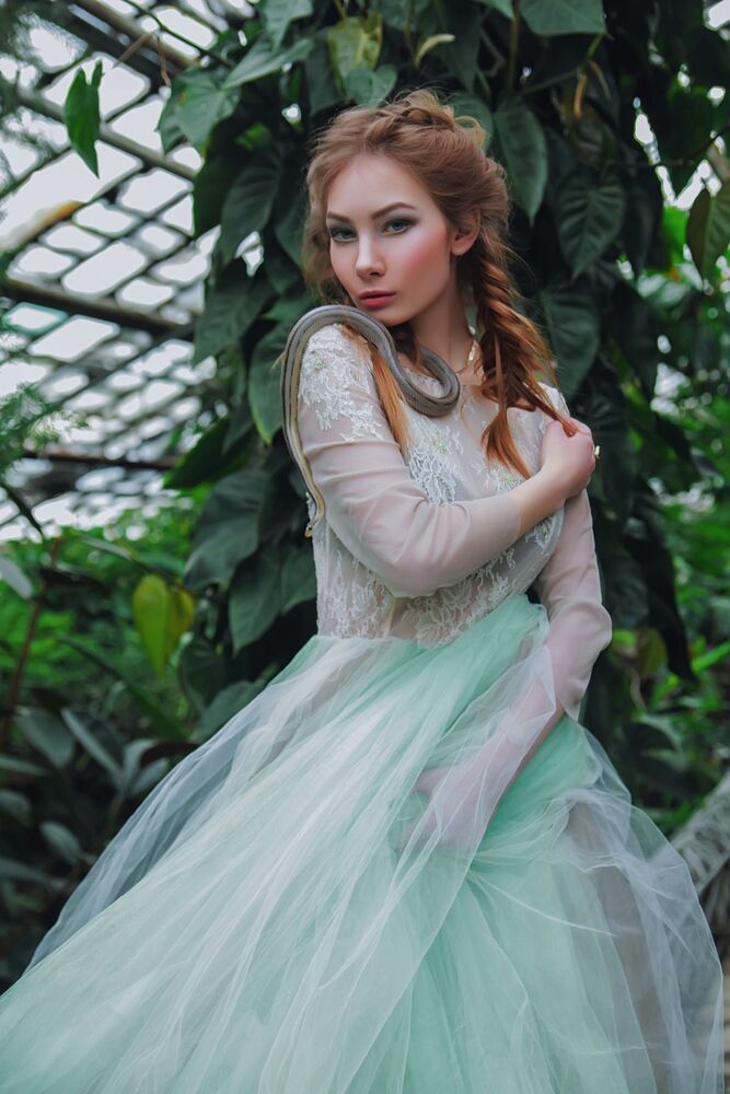 Elf