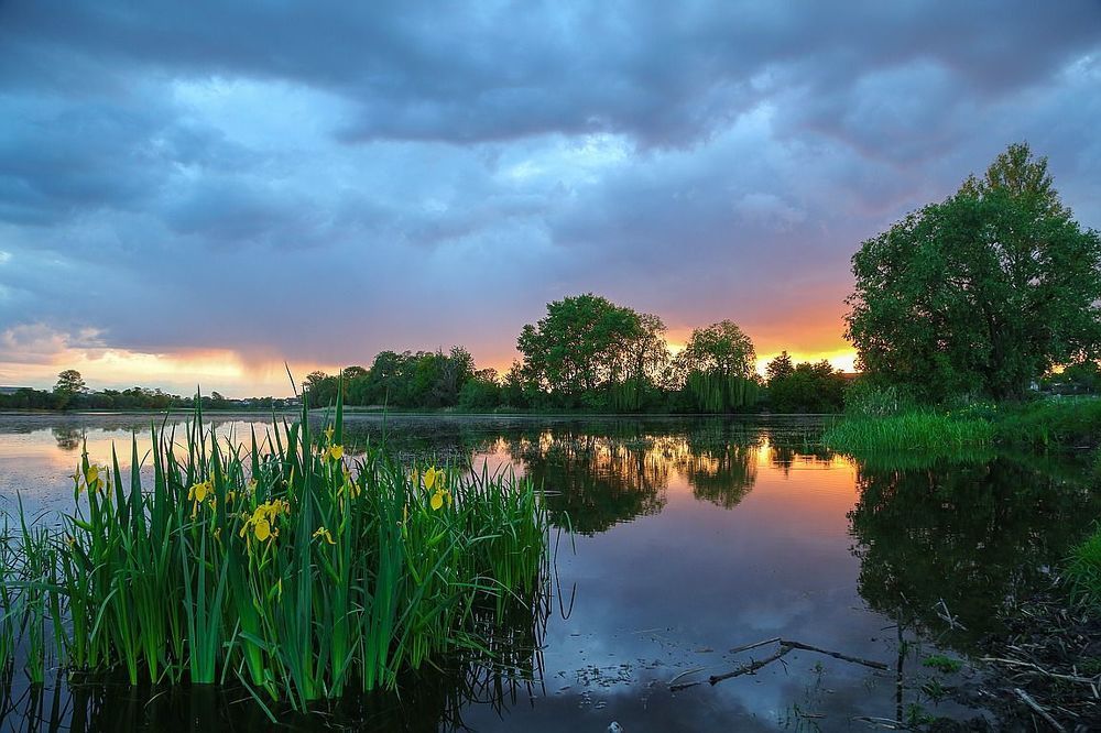 Родные края
