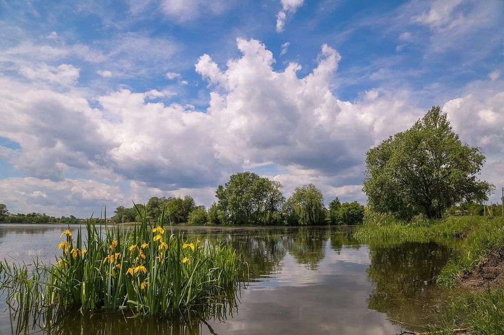 Родные края