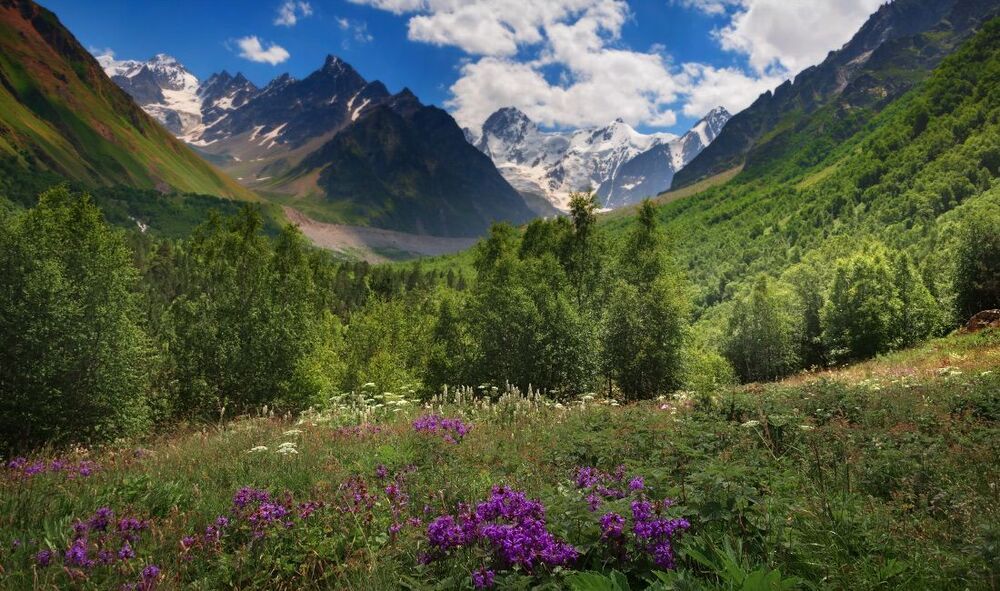 Там, где живет ветер