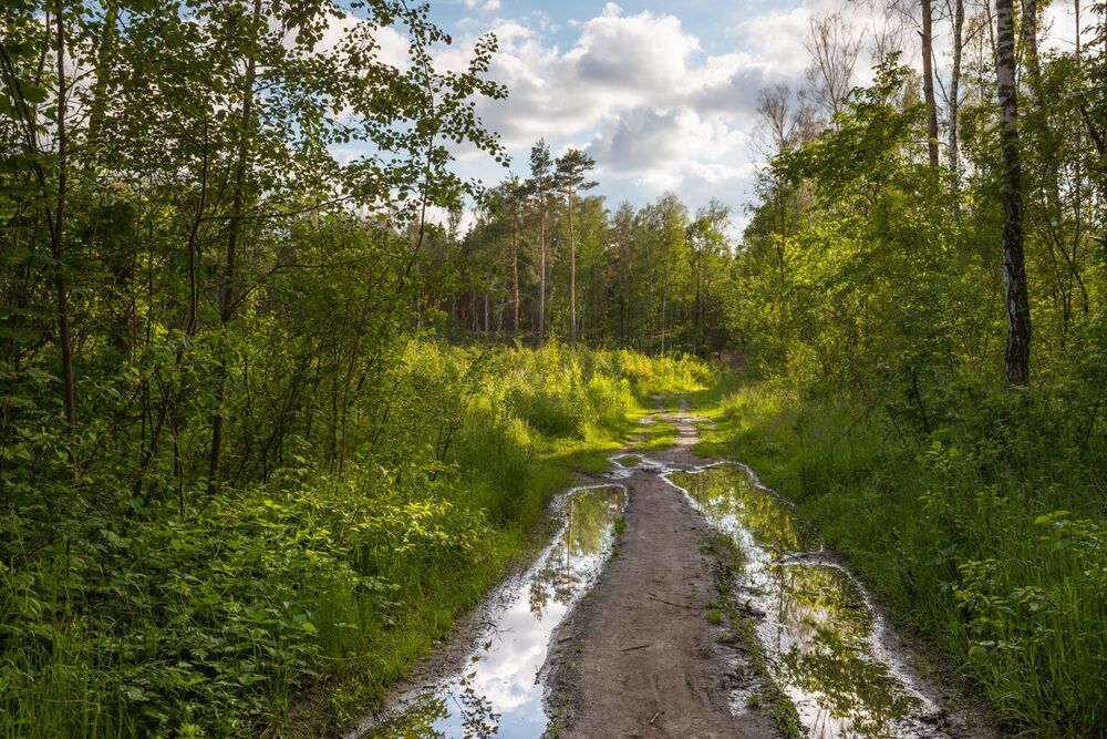 По дороге с облаками