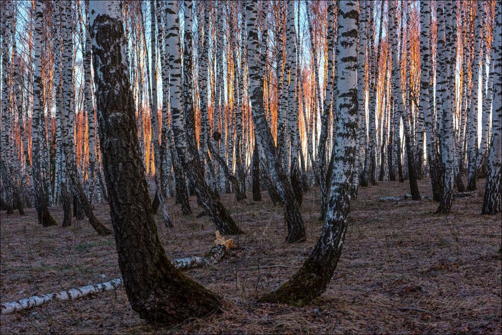 Солнце взошло
