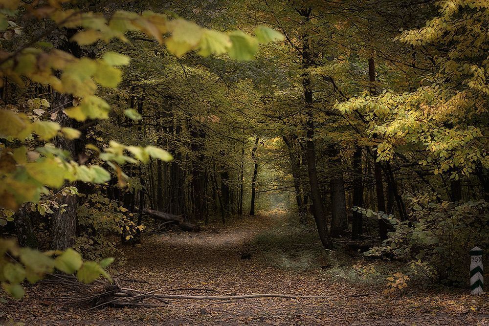 Photo 1094409