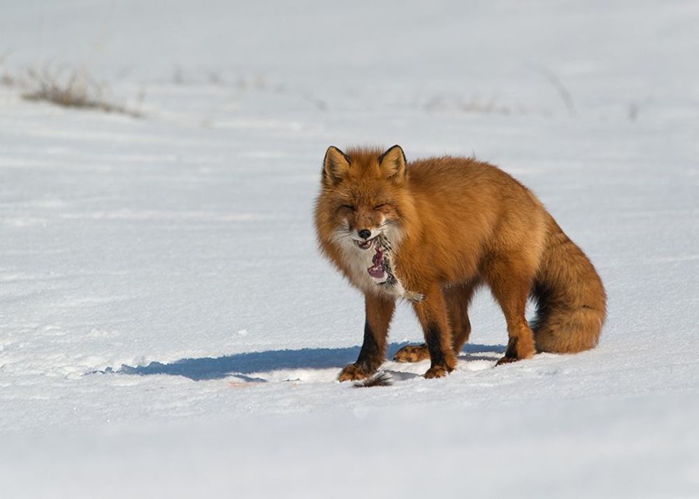 Весна на Чукотке...