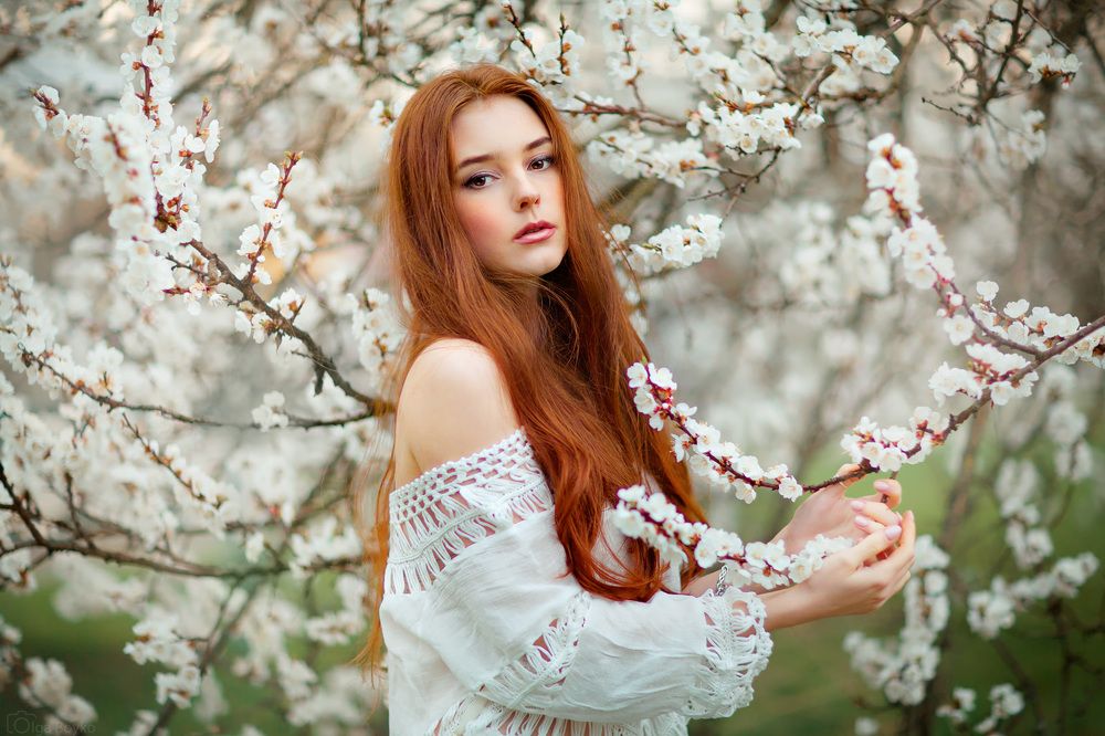 Весенний дождь