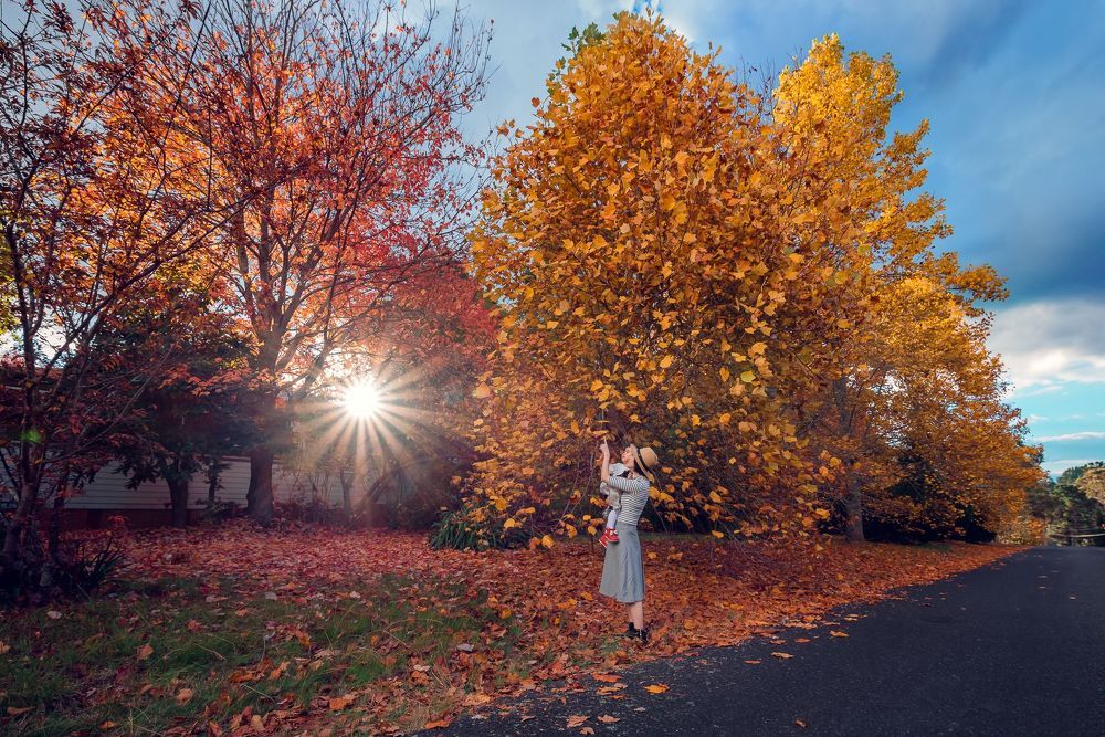 Autumn colours