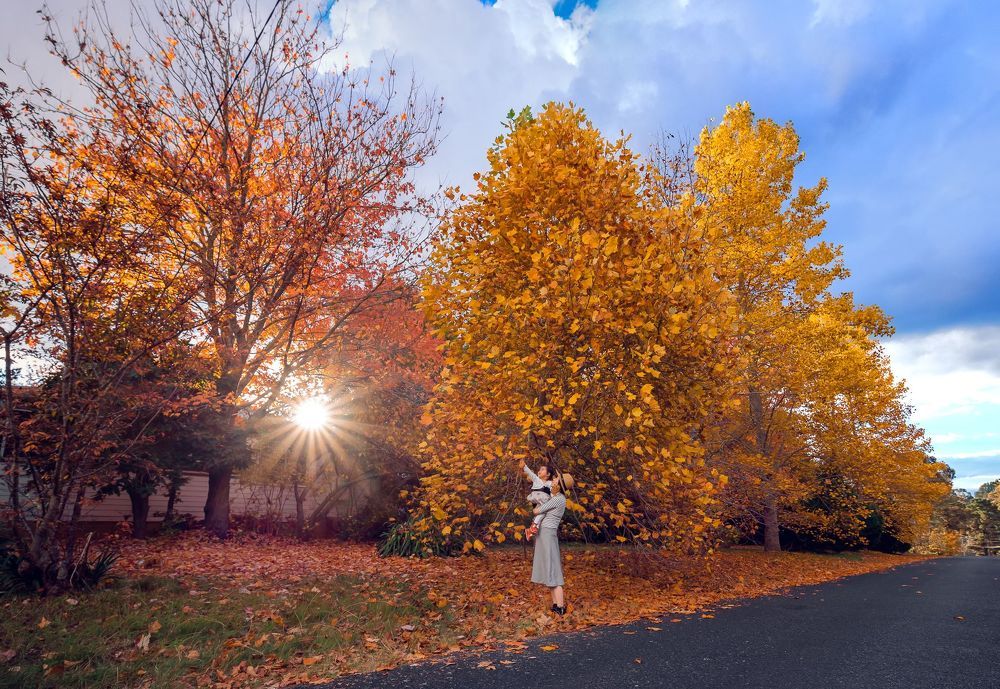 Autumn colours