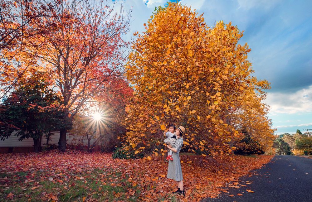 Autumn colours