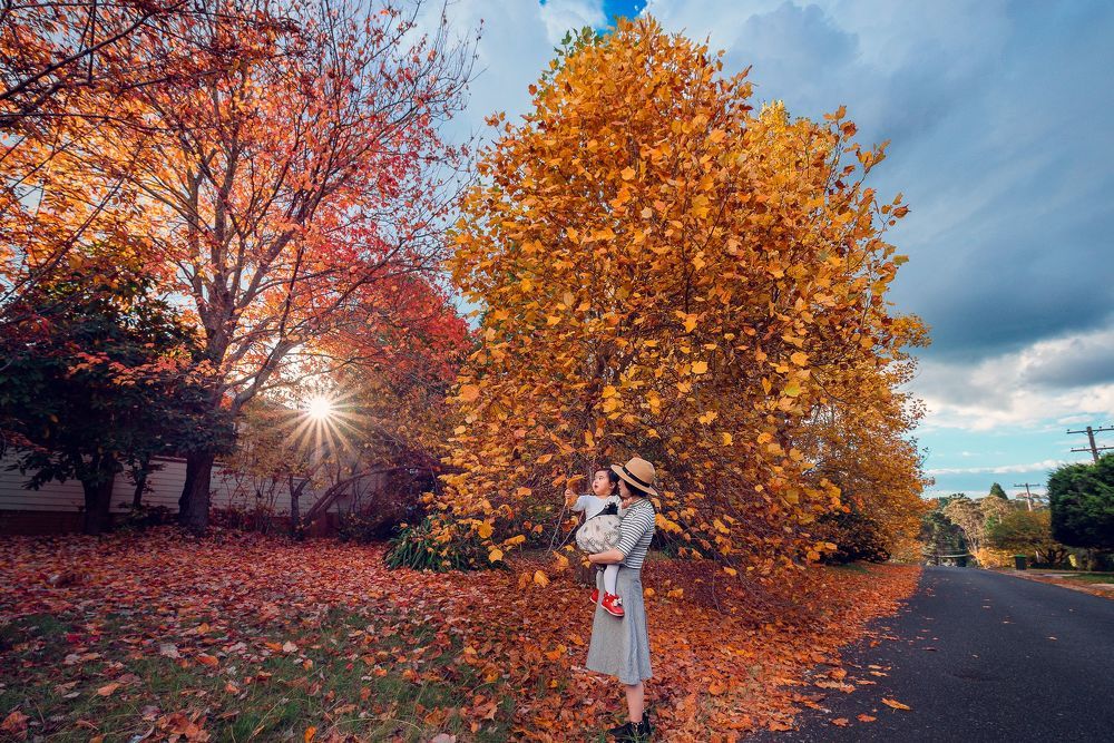 Autumn colours