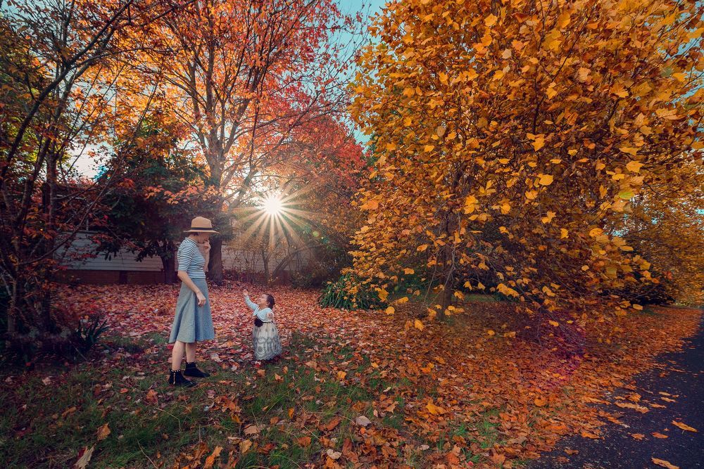 Autumn colours