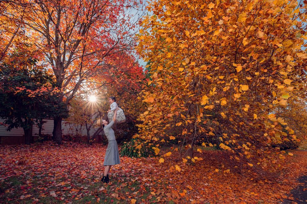 Autumn colours