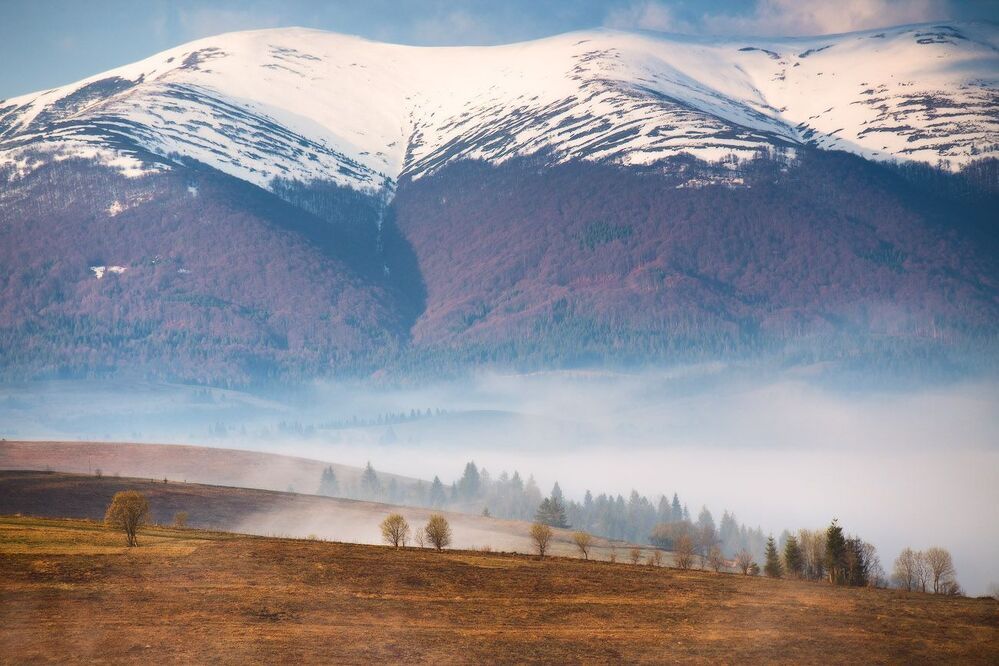 Весеннее карпатское утро