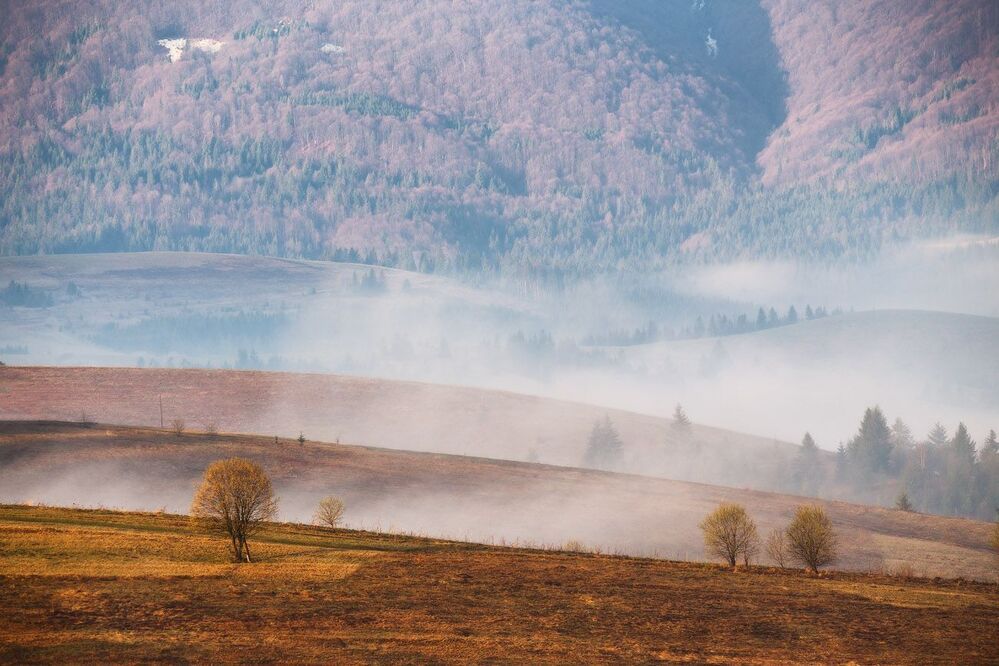 Весеннее карпатское утро