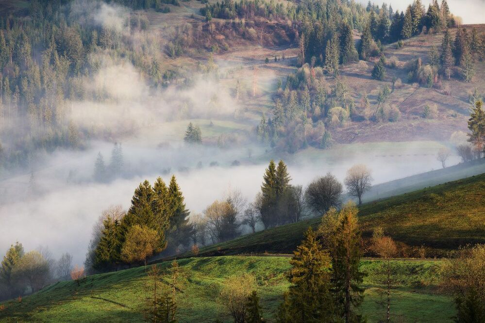 Весеннее карпатское утро