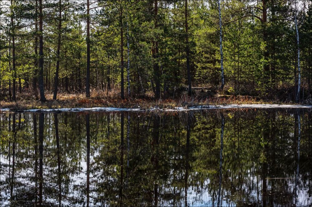 Последний лёд у кромки.