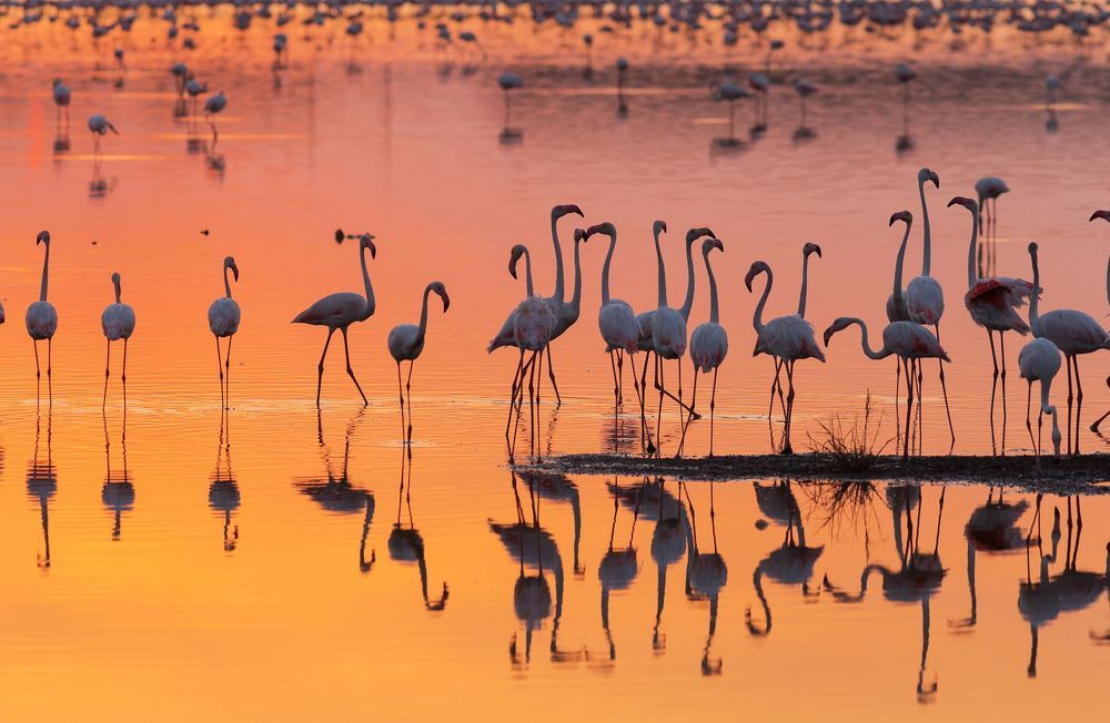 Africa Angola Namibia