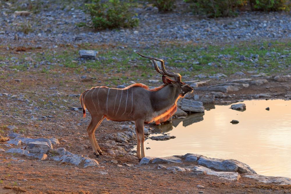 Africa Angola Namibia