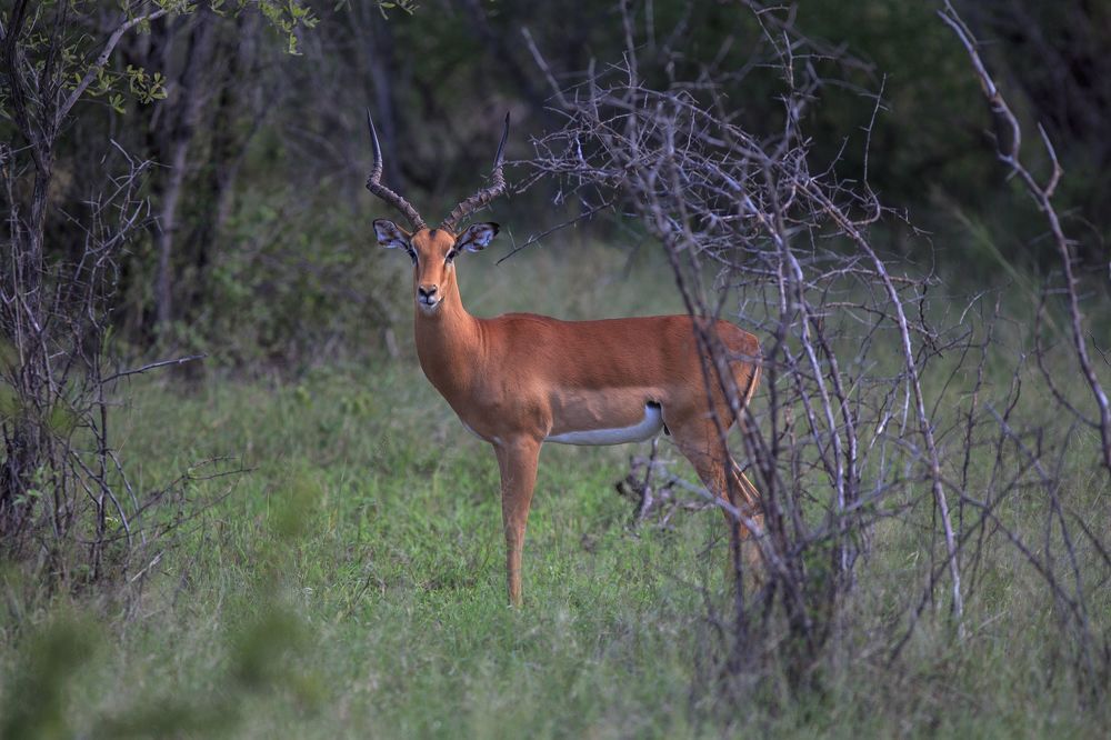Africa Angola Namibia