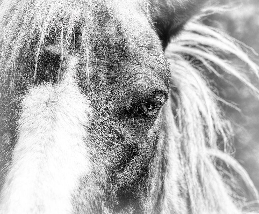 Photo 1098161